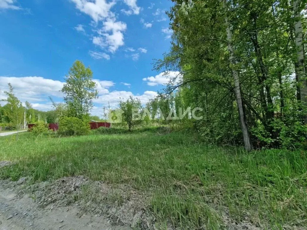 Участок в Новосибирская область, Новосибирский район, Барышевский ... - Фото 1