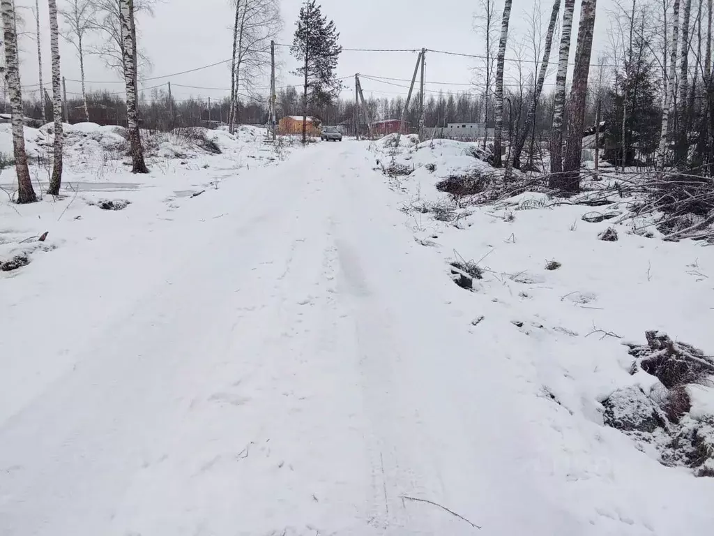 Участок в Московская область, Щелково городской округ, с. Трубино 100 ... - Фото 0