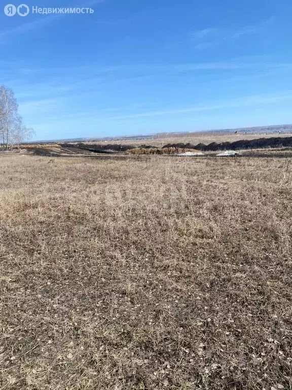 Участок в Кемеровский муниципальный округ, село Берёзово (10 м) - Фото 0