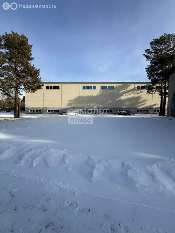 Производственное помещение (2600 м) - Фото 2
