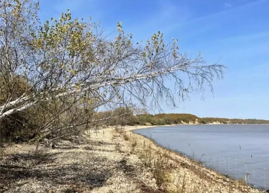 Участок в Приморский край, Спасский район, с. Воскресенка ... - Фото 0