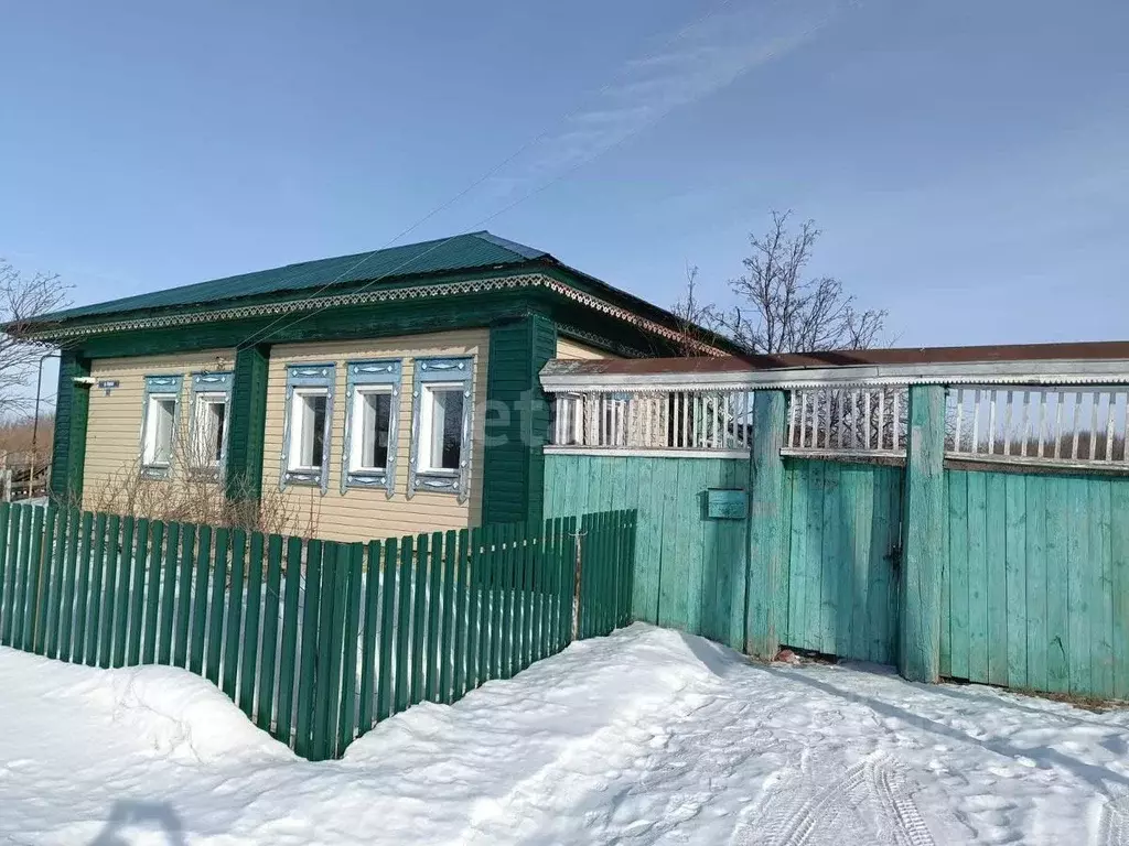 Дом в Курганская область, с. Белозерское  (40 м) - Фото 1