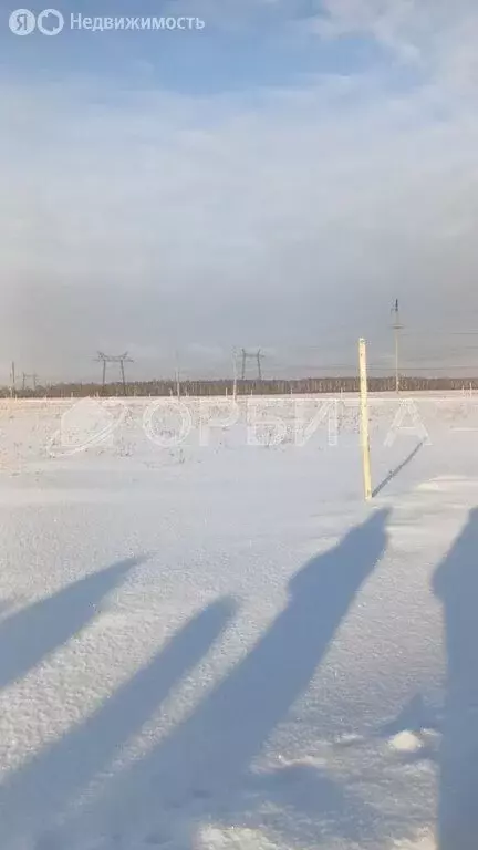 Участок в Тюменский муниципальный округ, деревня Криводанова, ... - Фото 2