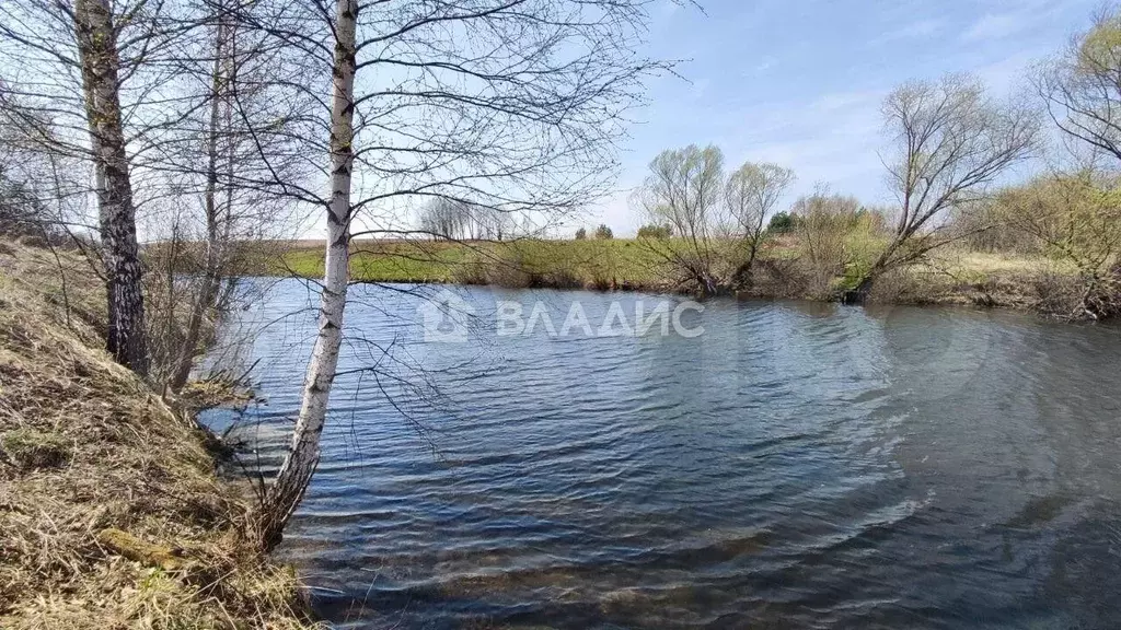Участок 20 сот. (ИЖС) - Фото 0
