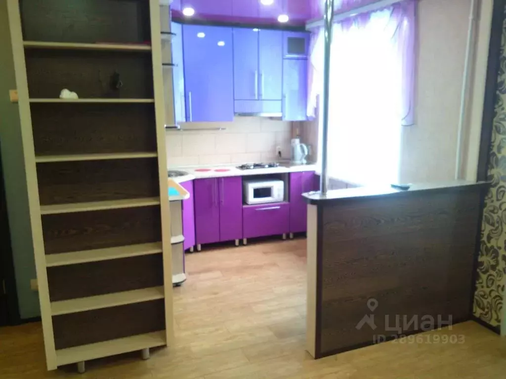 Студия Карелия, Сегежа ул. Спиридонова, 33 (29.0 м) - Фото 1