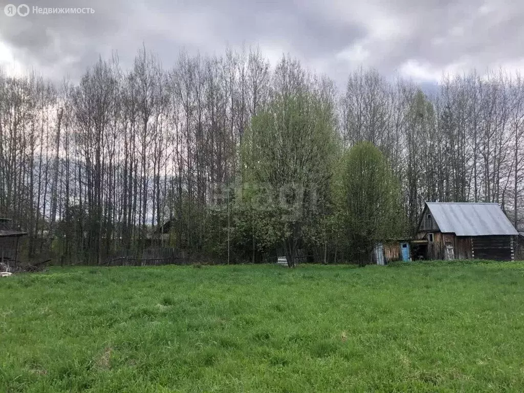 Дом в Кожевниковский район, деревня Астраханцево, 2-я Лесная улица (30 ... - Фото 1