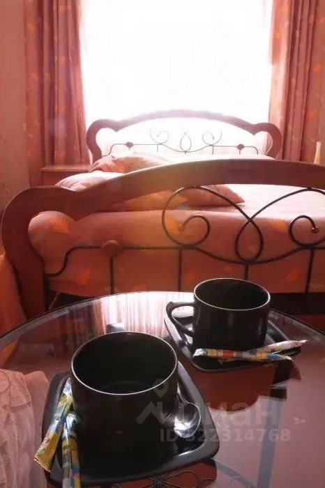 Комната Московская область, Дмитров Профессиональная ул., 28 (18.0 м) - Фото 2