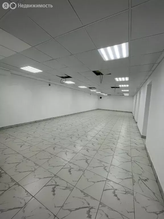 Помещение свободного назначения (256 м) - Фото 0