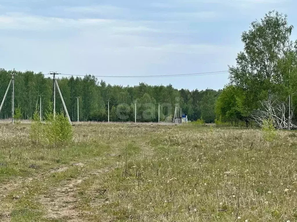 Участок в Тюменская область, Тюменский район, Новокаменский кп  (10.0 ... - Фото 0