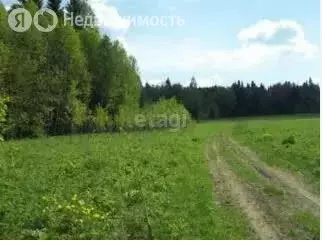 Участок в Пермский муниципальный округ, деревня Чуваки (320 м) - Фото 2