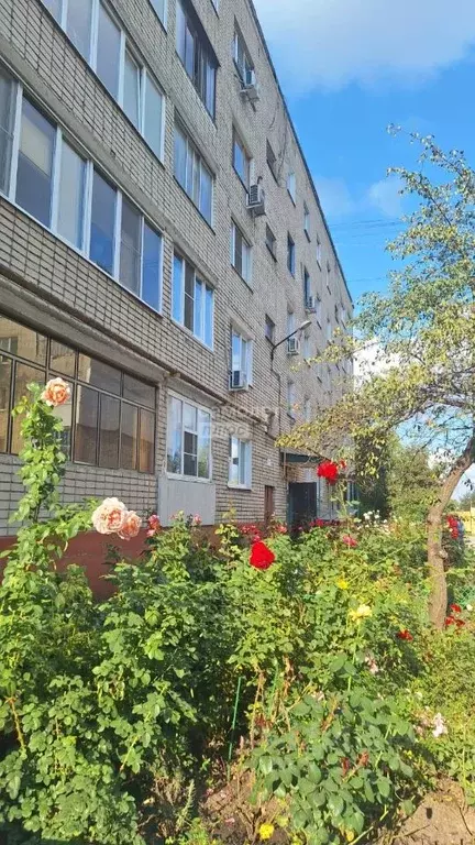 1-к кв. Липецкая область, Липецк ул. Ушинского, 30 (30.0 м) - Фото 0