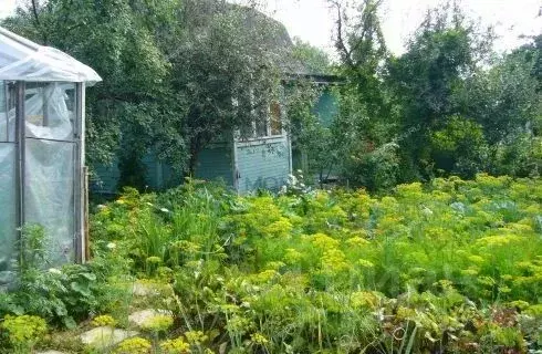 Участок в Нижегородская область, Нижний Новгород Пятигорская ул. (4.78 ... - Фото 2