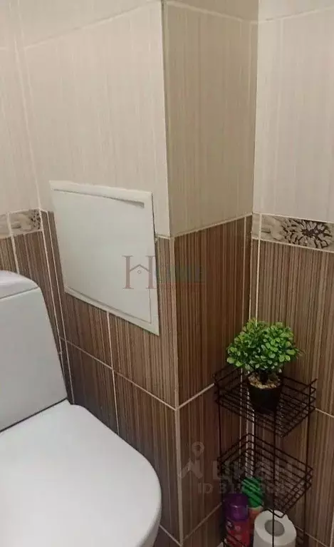 1-к кв. Новосибирская область, Новосибирск Линейная ул., 37/1 (31.0 м) - Фото 1
