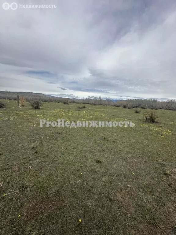 Участок в Республика Тыва, Каа-Хемский кожуун, село Суг-Бажы (8 м) - Фото 1