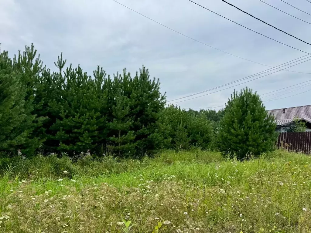 Участок в Свердловская область, Полевской муниципальный округ, с. ... - Фото 2