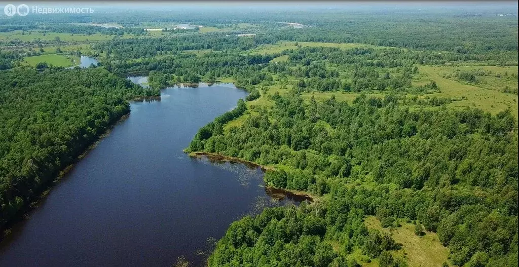 Участок в Ильина Гора, территория Озёрное Отделение (145 м) - Фото 1