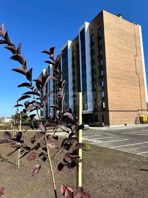 2-к кв. Тамбовская область, Тамбов ул. Имени Павла Строганова, 3 (57.1 ... - Фото 2