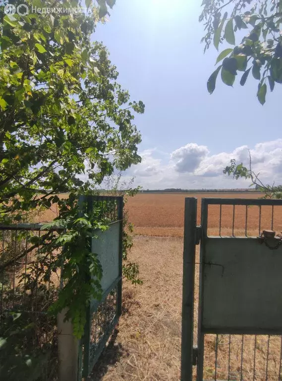 Дом в Азовский район, село Кулешовка (20 м) - Фото 2