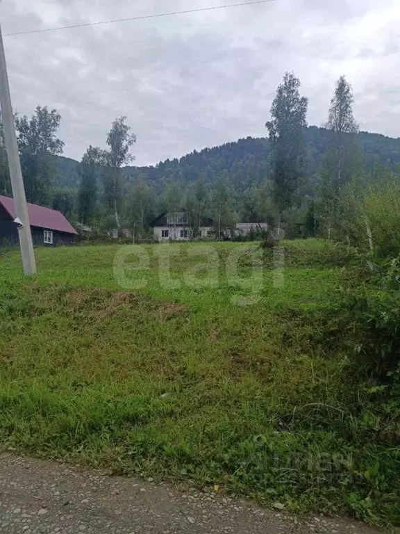 Участок в Алтай, Майминский район, Соузгинское с/пос, пос. Турбаза ... - Фото 1