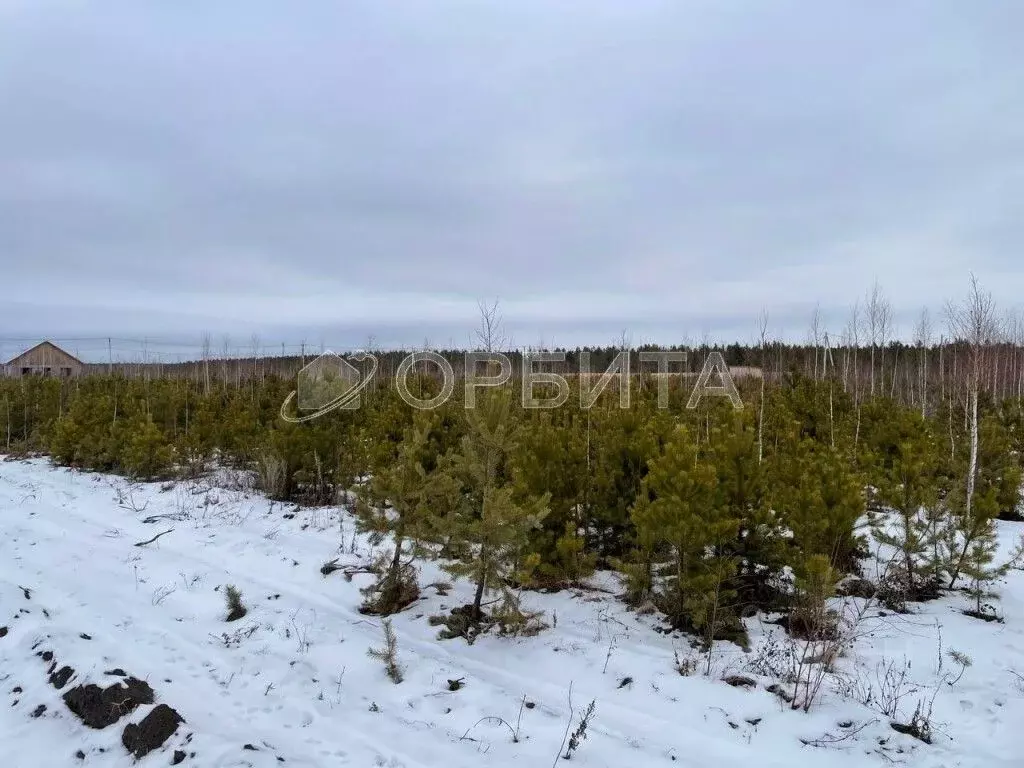 Участок в Свердловская область, Тугулым пгт 2 (16.25 сот.) - Фото 0