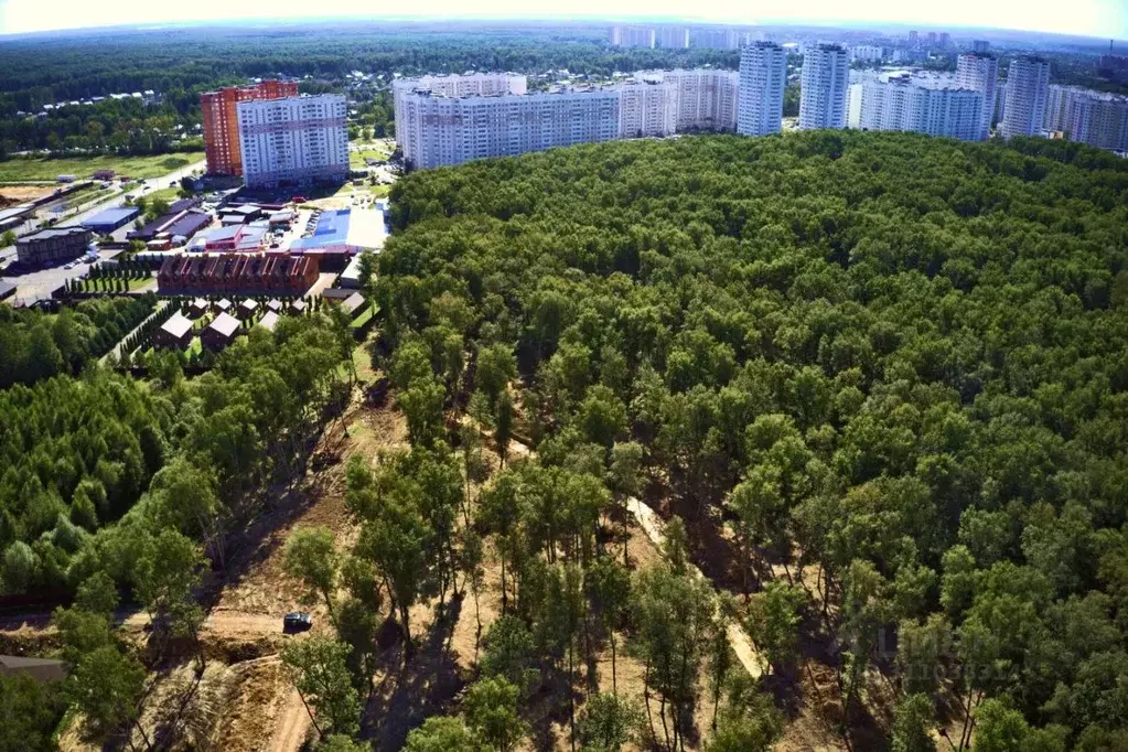 Участок в Московская область, Чехов городской округ, Губернский лес кп ... - Фото 0