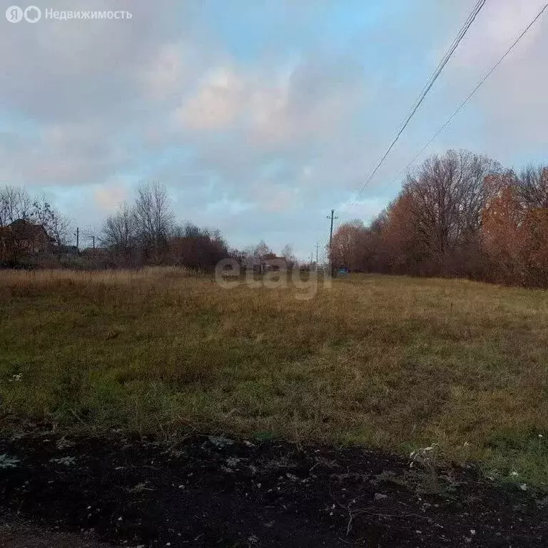 Участок в Лямбирский район, село Берсеневка (12.4 м) - Фото 2