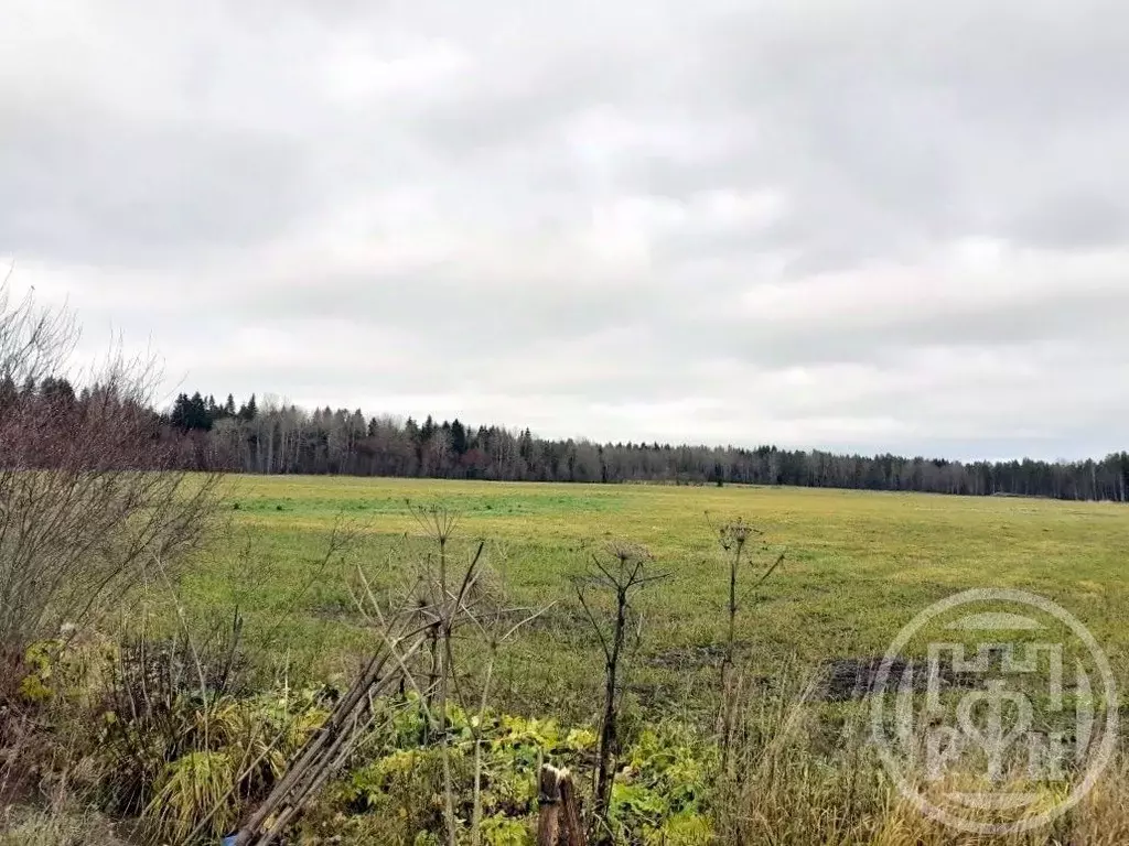 Участок в Ленинградская область, Выборгский район, Полянское с/пос, ... - Фото 1