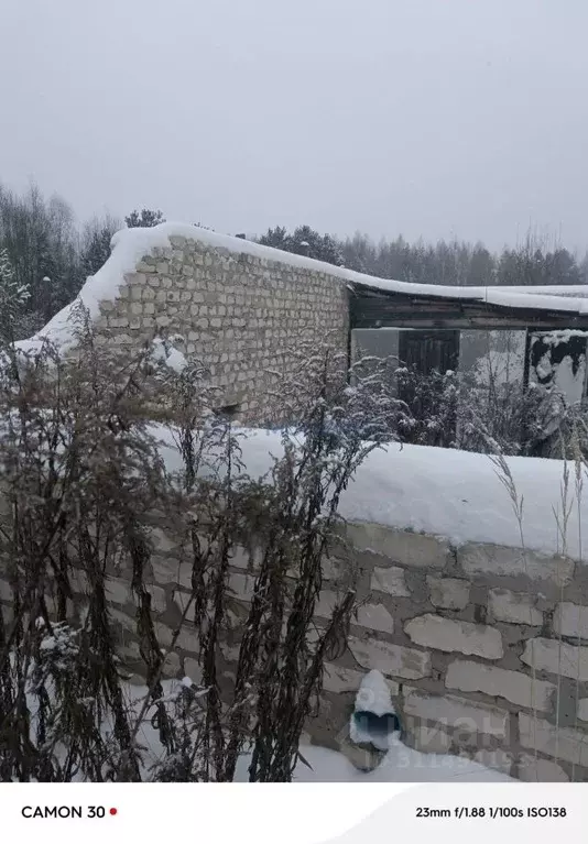 Участок в Нижегородская область, Городецкий муниципальный округ, с. ... - Фото 1