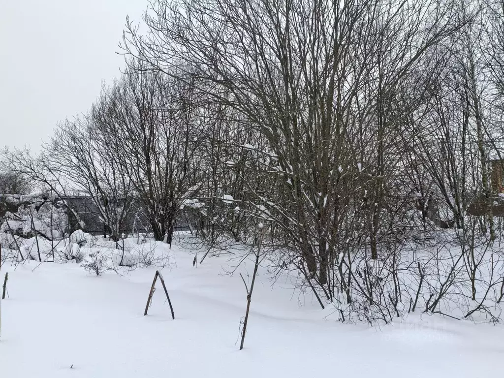 Участок в Москва д. Терехово, ул. Терехово-2, 37/1 (10.96 сот.) - Фото 2