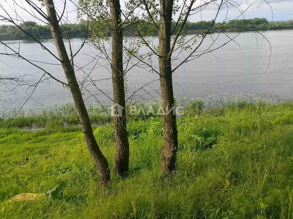 Участок в городской округ Нижний Новгород, село Безводное (20 м) - Фото 0