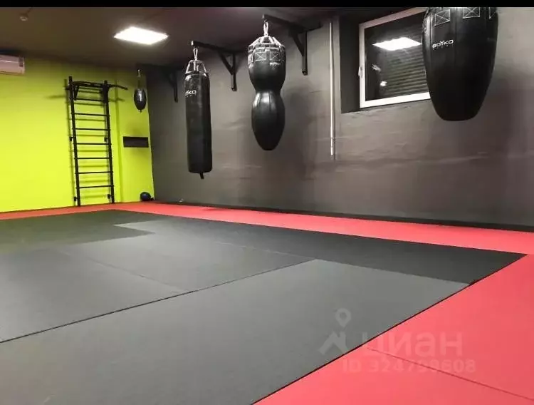 Помещение свободного назначения в Иркутская область, Иркутск ул. Карла ... - Фото 1