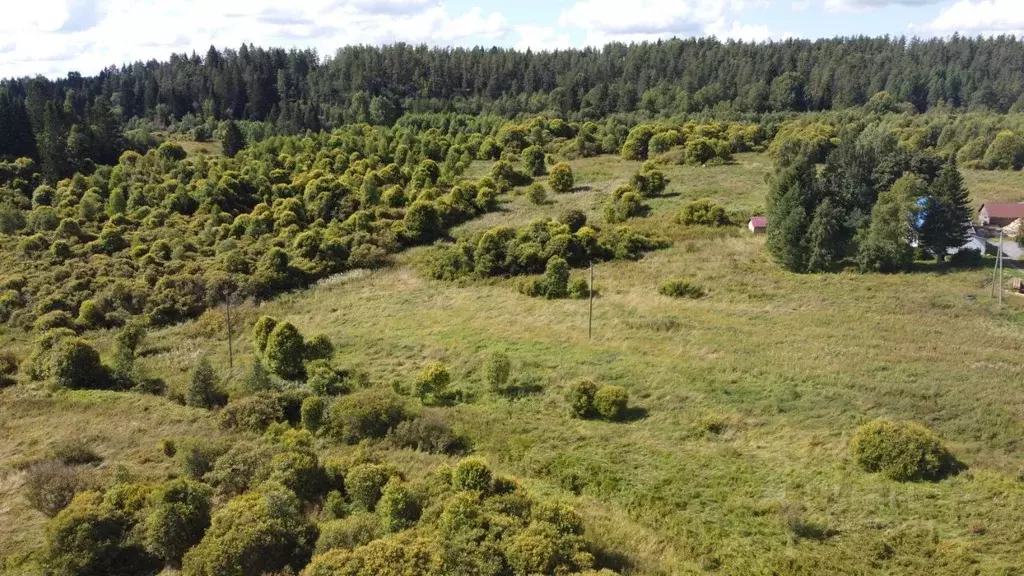 Участок в Карелия, Лахденпохский муниципальный округ, пос. Отсанлахти  ... - Фото 1