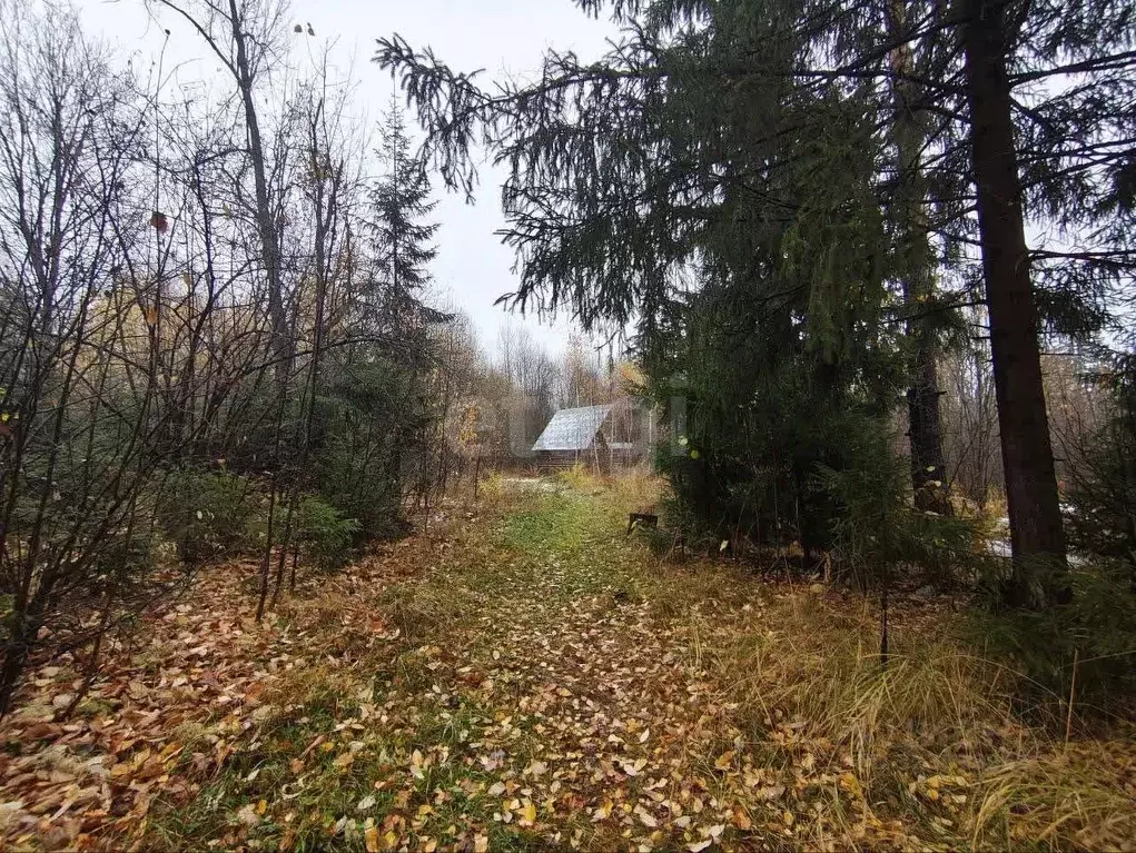 Участок в Удмуртия, Воткинский район, Яблонька СНТ  (246.0 сот.) - Фото 1