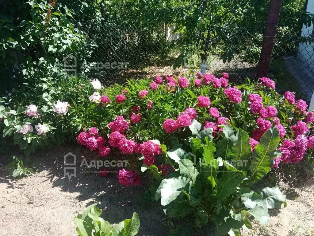 Дом в Волгоградская область, Городищенский район, Ерзовское городское ... - Фото 1