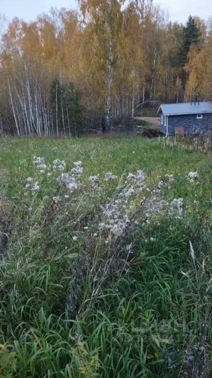 Участок в Красноярский край, Красноярск городской округ, пос. Минино ... - Фото 1