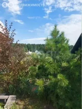 Дом в Томский район, деревня Малое Протопопово, Лесной переулок (12 м) - Фото 2