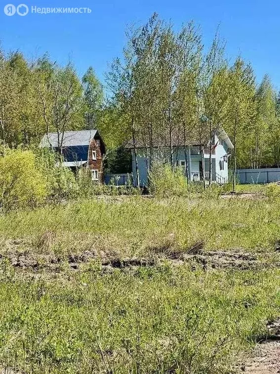 Участок в Богородский городской округ, СНТ Семья, 58 (12 м) - Фото 1