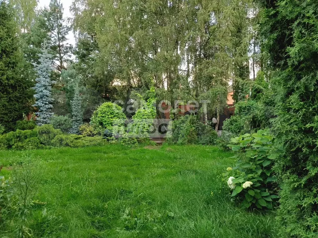 Участок 12 сот. (СНТ, ДНП) - Фото 0