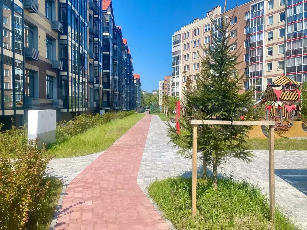 1-к. квартира, 23,9 м, 6/6 эт. - Фото 0