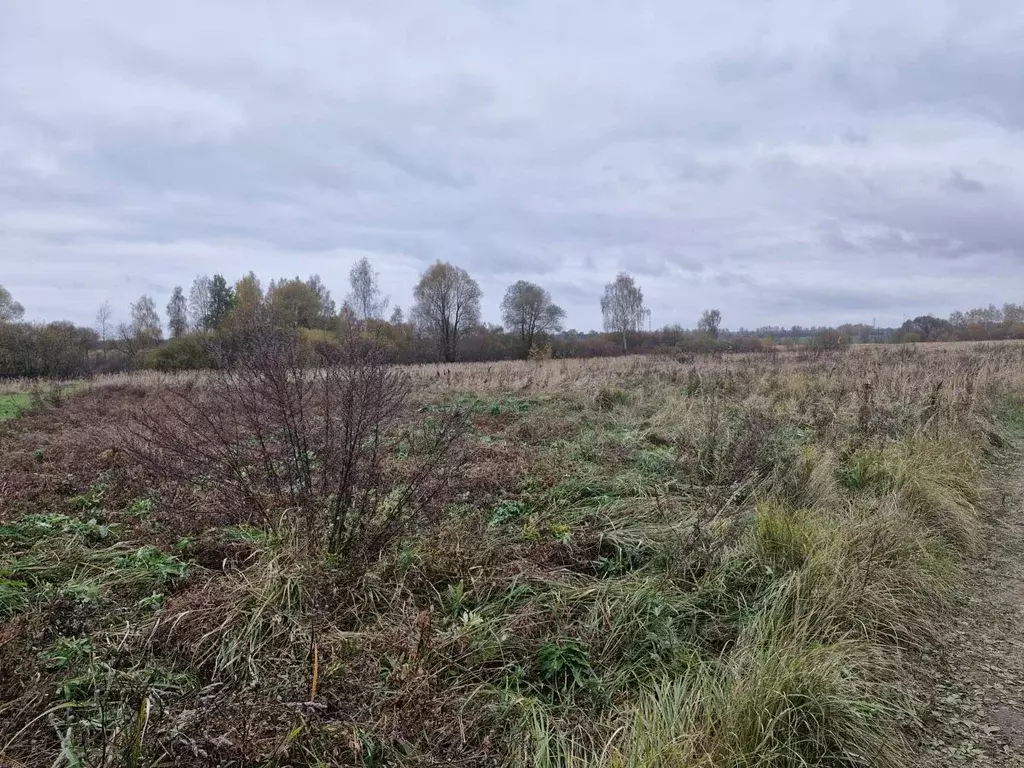 Участок в Московская область, Ступино городской округ, д. Игнатьево  ... - Фото 0