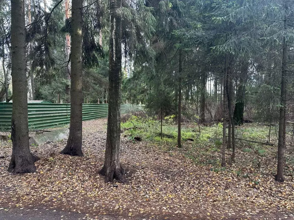 Участок, 10 сот., поселения (ижс) - Фото 1