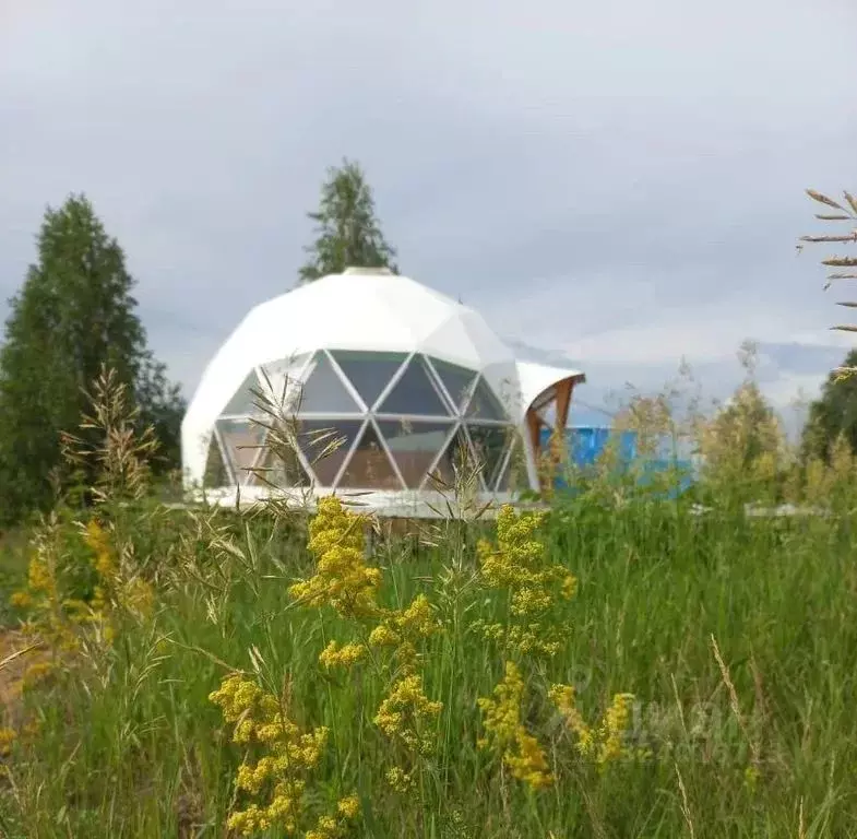 Дом в Самарская область, Ставропольский район, Мусорка с/пос, с. Ташла ... - Фото 1