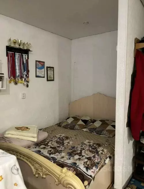 Студия Алтай, Майминский район, с. Майма ул. Строителей, 5 (28.0 м) - Фото 2
