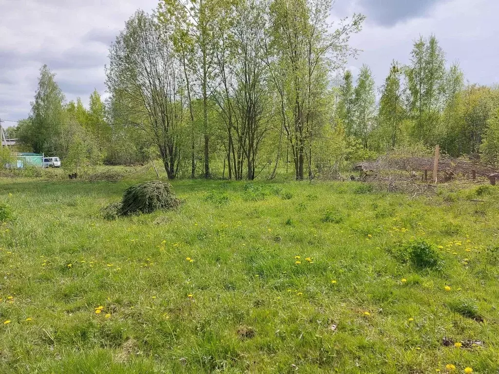 Участок в Московская область, Павлово-Посадский городской округ, д. ... - Фото 1