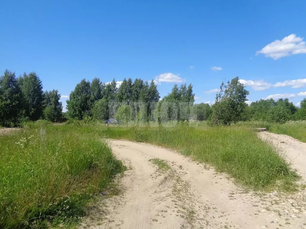 Участок в Вологодская область, Сокольский муниципальный округ, с. ... - Фото 1