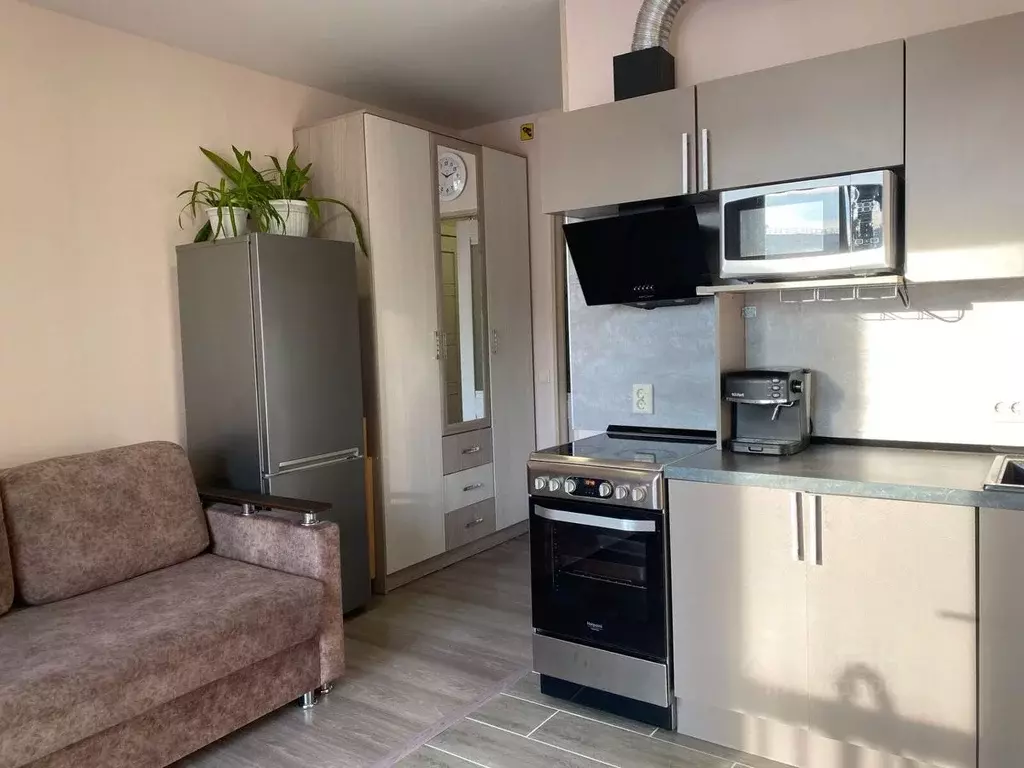 Студия Санкт-Петербург пос. Шушары, просп. Старорусский, 11 (21.0 м) - Фото 1