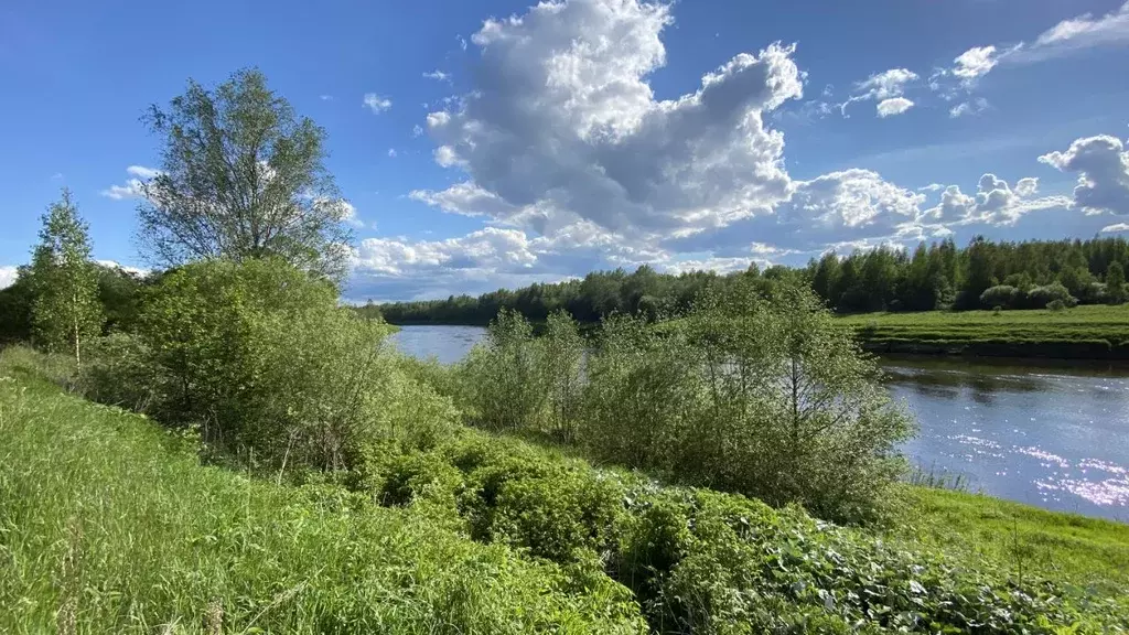 Участок в Новгородская область, Маловишерский район, Бургинское с/пос, ... - Фото 1