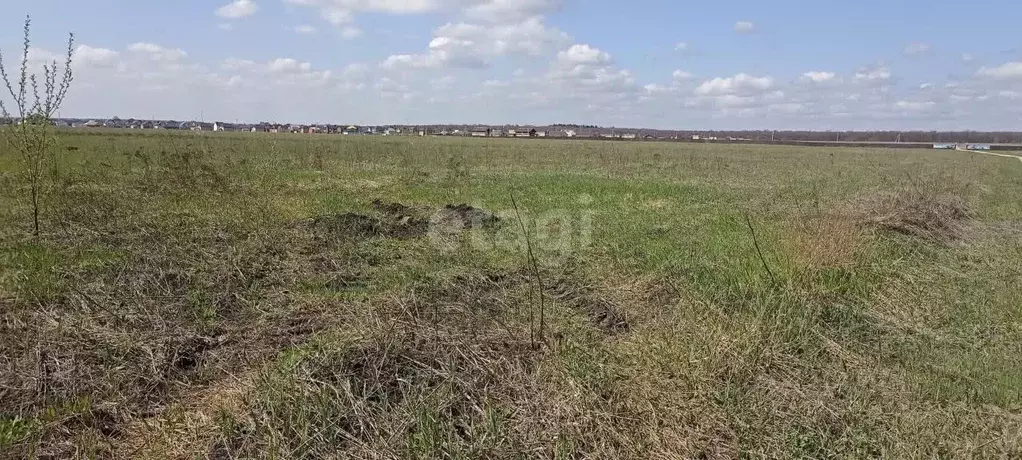 Участок в Липецкая область, Липецкий муниципальный округ, с. Косыревка ... - Фото 1