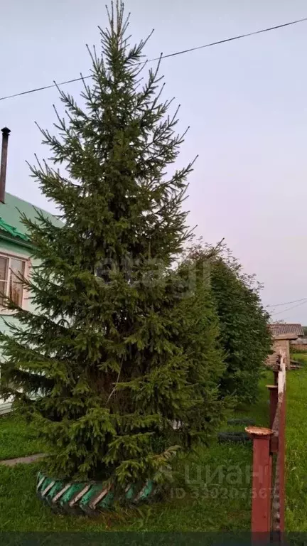 Дом в Коми, Корткеросский муниципальный район, с. Сторожевск ул. ... - Фото 2