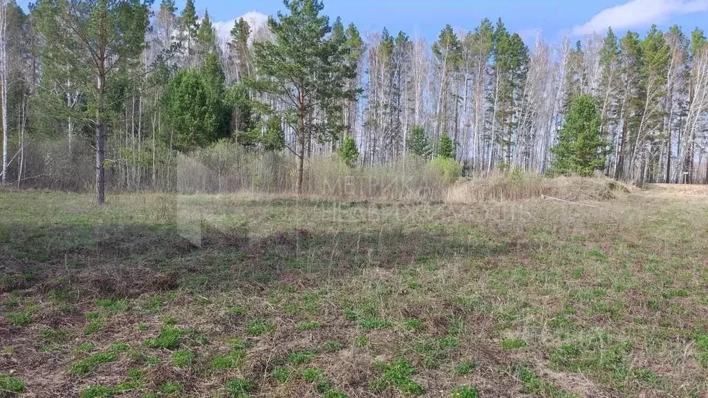 Участок в Тюменская область, Нижнетавдинский район, с. Тюнево  (10.0 ... - Фото 0